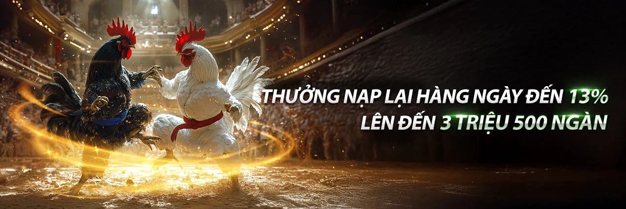 Đá Gà Trực Tuyến OP88 2026 - Sân đấu kịch tính